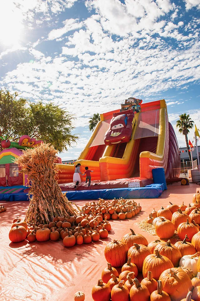 Pumpkins arranged in front of a colorful giant slide at the Antioch patch