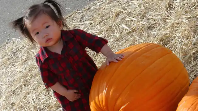 A young visitor standing beside an oversized pumpkin