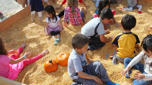 Children playing together in the corn pit