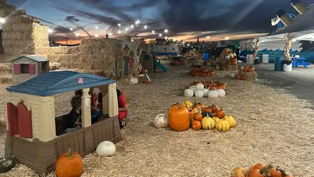 Pumpkin displays inside the covered farm tent