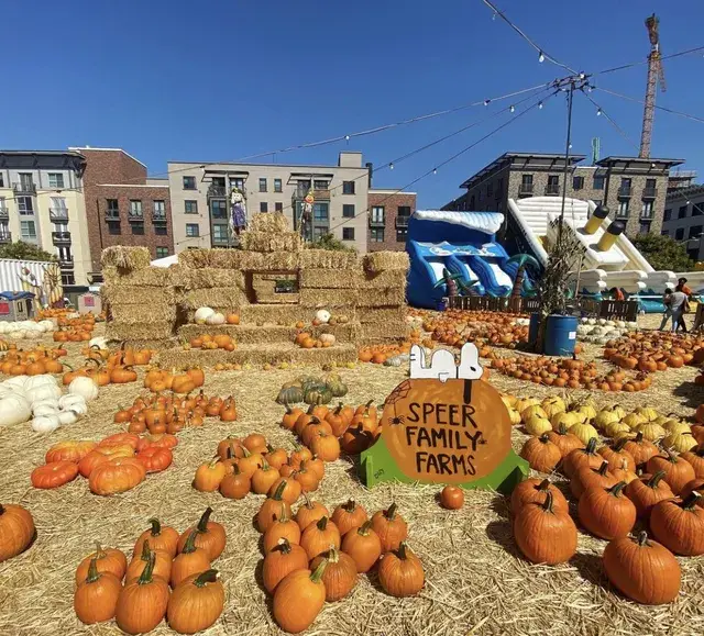 The hand-painted Speer Family Farms pumpkin sign in front of the hay fort and slides