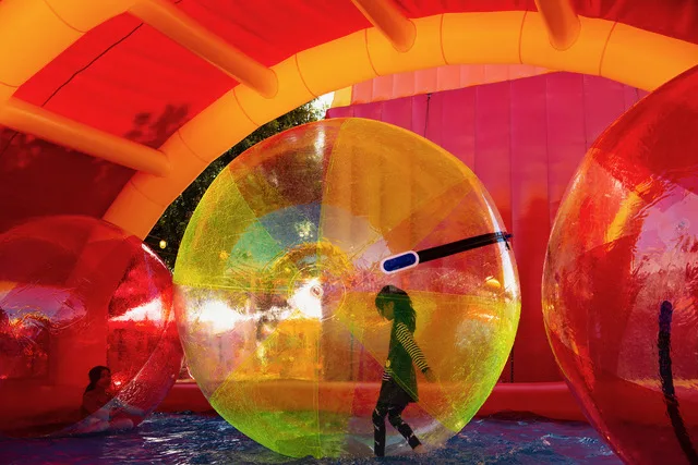 Children playing inside colorful transparent Water Zorbs